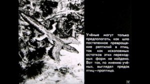 Происхождение птиц.  Первоптицы