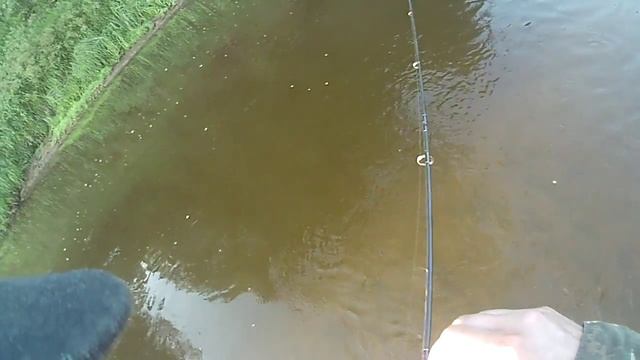 Рыбалка под берегом часть 6 смотреть онлайн