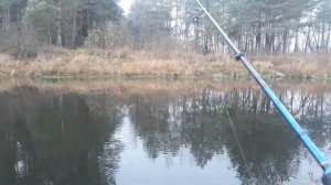 Ловля окуня в ноябре осенью с берега на джиг, как ловить окуня