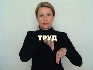 ЖЕСТОВЫЙ ЯЗЫК. СЛОВАРЬ. Труд