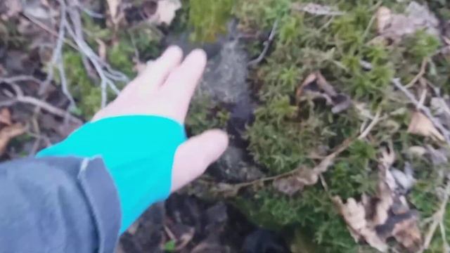 Там, де багато граніту... смотреть онлайн