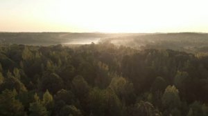 Муж устроился в компанию, где работала его жена, и узнал про нее много нового. Истории измен