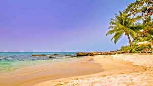 Progressive house Kazantip 2024