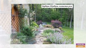 Клумбы и цветники вдоль дорожек | названия растений