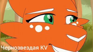 Коты воители. Клип Уголёк и Белка-Отпусти меня.