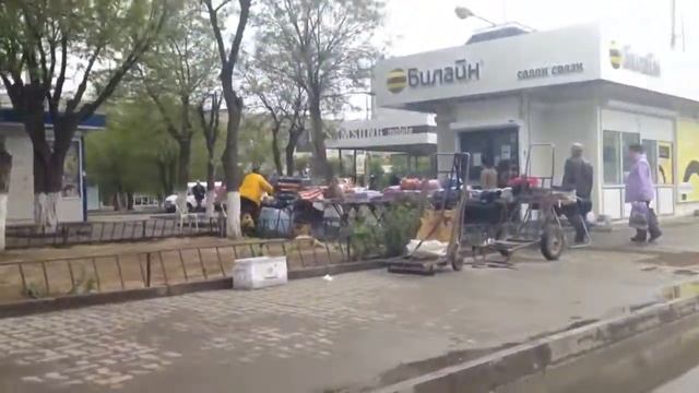 Павильон Билайн и МТС смотреть онлайн