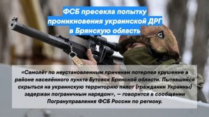 ФСБ пресекла попытку проникновения украинской ДРГ в Брянскую область