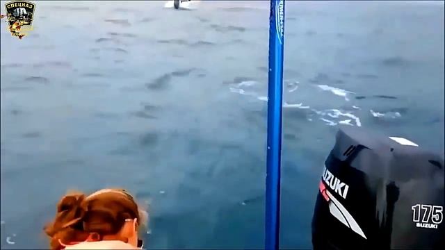 Девушки на рыбалке/Приколы на рыбалке/Весёлая рыбалка/Женская рыбалка/Рыбалка с юмором