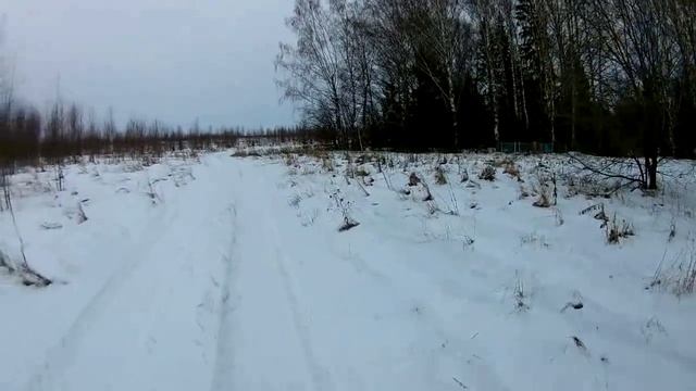 В заброшенной деревне \  Нашел кладбище \ Звери в кустах