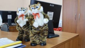 Кот (музыкальная игрушка)