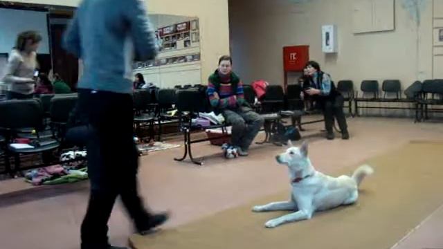 Семинар с Варварой Большаковой Красноярск 2013 (26) смотреть онлайн