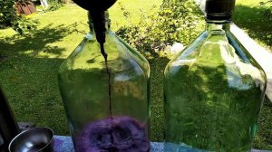 Начало виноградного сезона 2020(сорт винограда Кудерка) Снятие с модерации.часть2