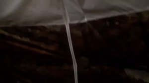 Чем опасен "газовый инфракрасник" в палатке Не все об этом знают