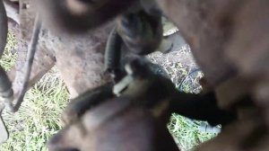 Замена датчика abs пежо 807.Ремонт ESP своими руками.