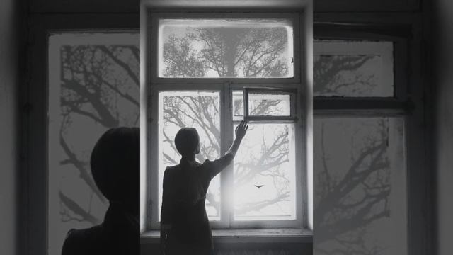 Armand Amar - Mystère I смотреть онлайн