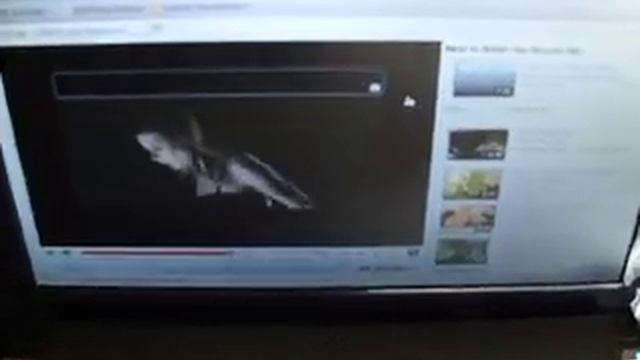 Ubuntu Netbook Remix 9.10 on Asus Eee PC 1001HA смотреть онлайн