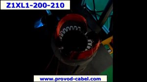 Z1XL1-200/210 Станок формовки статора