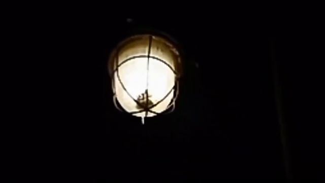 Человек - козёл из Мэриленда