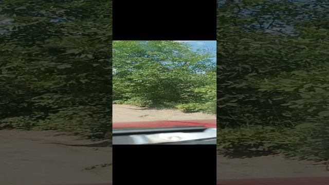 Луганск нет дорог вообще