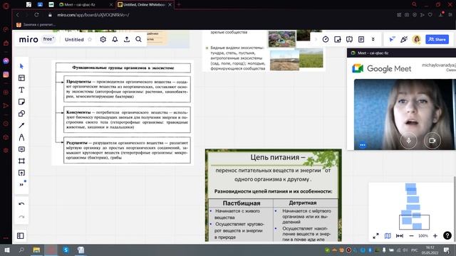Структура экосистем