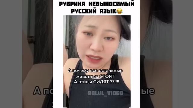 Сложный русский язык