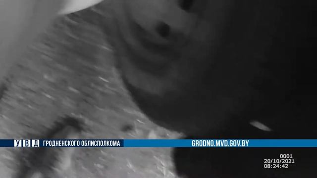 У женщины на дороге пробило колесо. Исправить поломку помогли сотрудники ГАИ смотреть онлайн