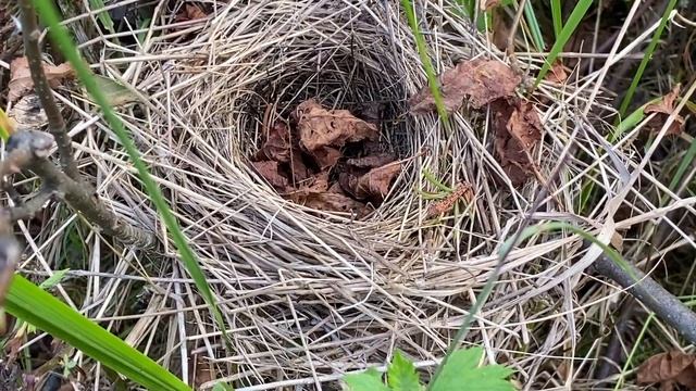 Сплав по реке Лух. Август 2022 г. смотреть онлайн