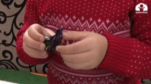 Таалимтай / Калп айтпа / 2021