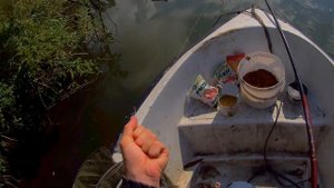 рыбалка на карася на поплавок летом 2022 #familyfishing#карась#удочка#рыбалка#рыбалка#