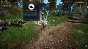 Black Desert лес ветряная защитная башня