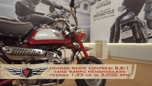REVIEW 2016 HONDA MONKEY Z50