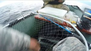 Ловля крупных судаков на Рыбинском Водохранилище .