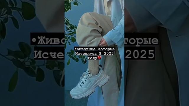 Животные которые исчезнут в 2025 году#shorts ??