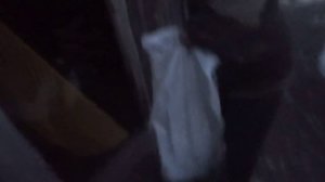 Вес индюков Хайбрид Конвертер в 3 месяца. Сезон 2022.