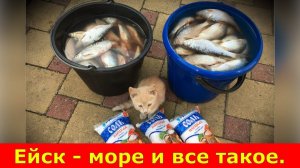 Ейск - море и все такое.