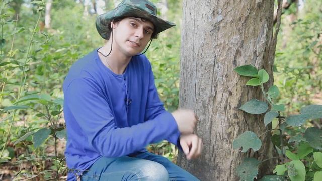 НАЦИОНАЛЬНЫЙ ПАРК ЧИТВАН | НЕПАЛ смотреть онлайн