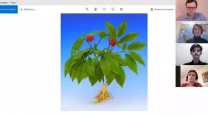 История+география: Поярков и Хабаров