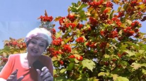 А МНЕ НЕ ВЕРИТСЯ ..ИСП. ВАЛЕНТИНА ГЛОТОВА (ВАлюшенька )