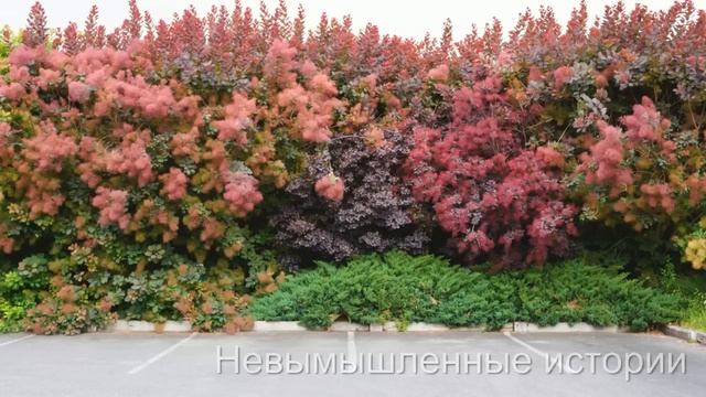 Рита пожалела единственную подругу и устроила её на работу. Она и подумать не могла... смотреть онлайн