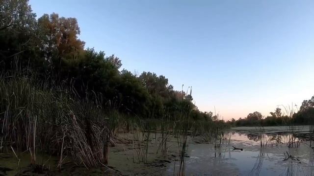 Охота на утку 2022 Вечёрка смотреть онлайн