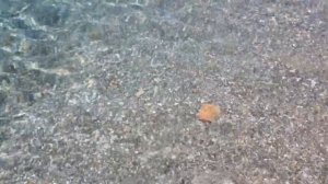 Пляжи Бодрума | Обзор трех бесплатных пляжей в Бодрмуе!