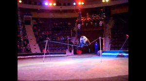 Медведи-эквилибристы дрессировщика Николая Новичкова