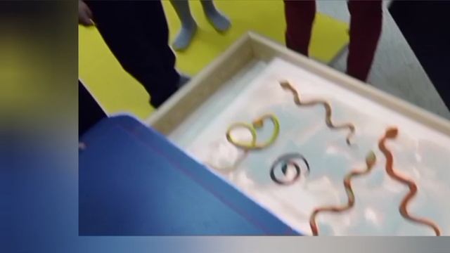 Логоритмика 2 кл вариант1