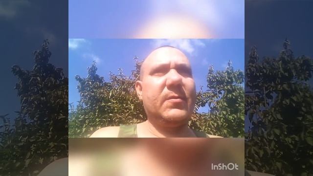 Дрожжевание корма.