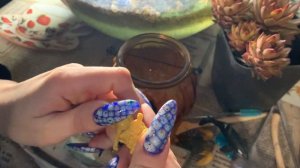 АСМР: САЖАЕМ МОЛОДИЛО В ФЛОРАРИУМ И РАСПАКОВЫВАЕМ КИНДЕР СЮРПРИЗЫ. ЧТО ПОПАЛОСЬ В ШОКОЛАДНЫХ ЯЙЦАХ?