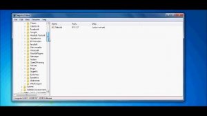 Windows 7 | Registry Editor | Deleting Start Up Programs