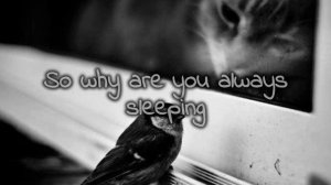 Near × Far - Not enough (lyrics)