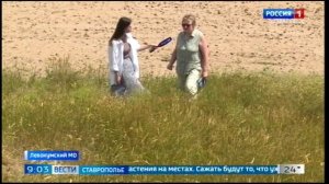 Ставропольские учёные придумали свой способ борьбы с опустыниванием