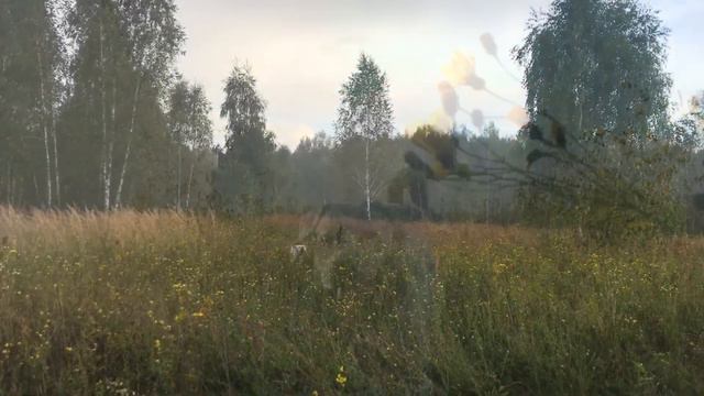 Если с другом вышел в путь, веселей дорога!