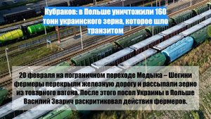 Кубраков: в Польше уничтожили 160 тонн украинского зерна, которое шло транзитом